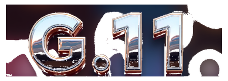 g 11 logo
